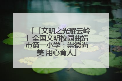 「文明之光耀云岭」全国文明校园曲靖市第一小学：崇德尚美 用心育人